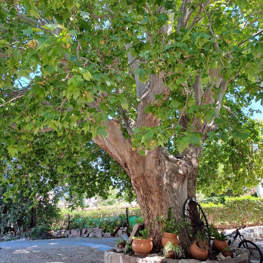 Posada Del Arbol Capilla del Monte Eksteriør billede